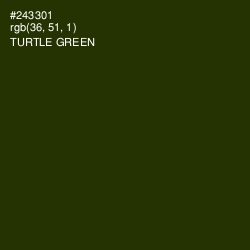 #243301 - Turtle Green Color Image